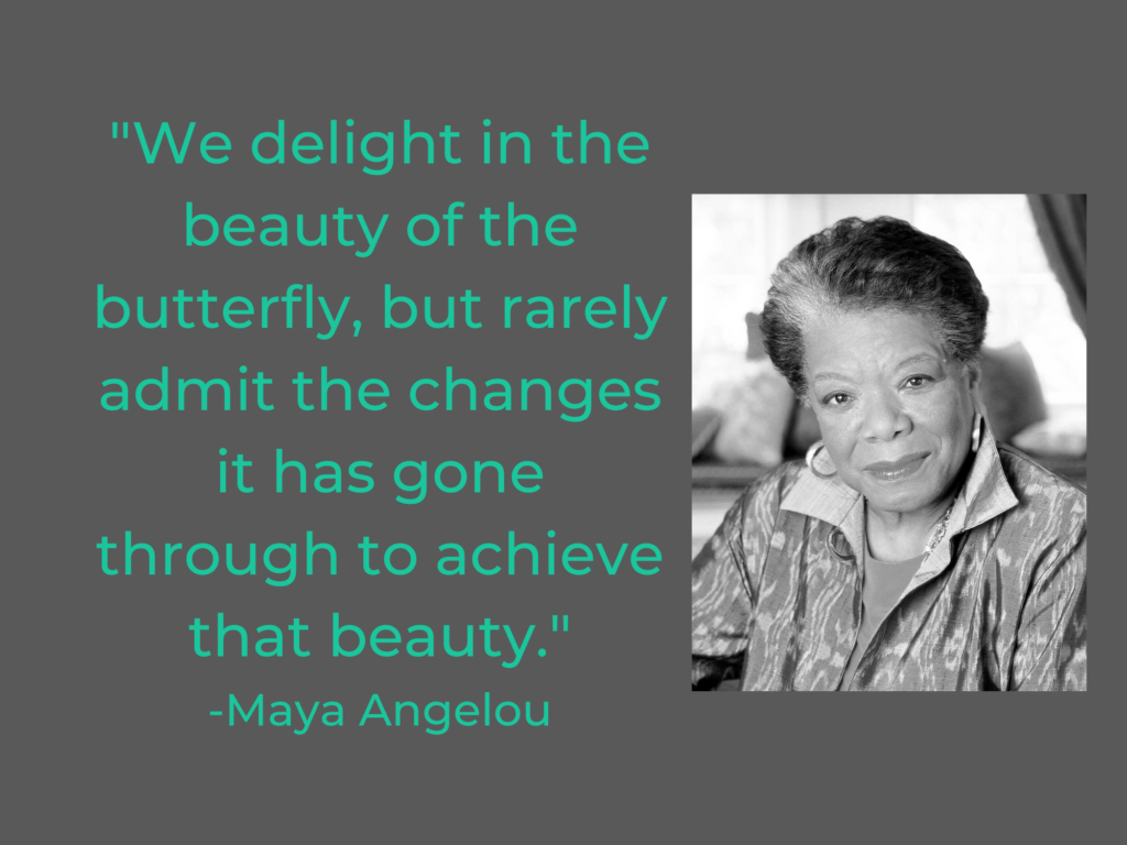 "We delight in the beauty of the butterfly, but rarely admit the changes it has gone through to achieve that beauty."
-Maya Angelou